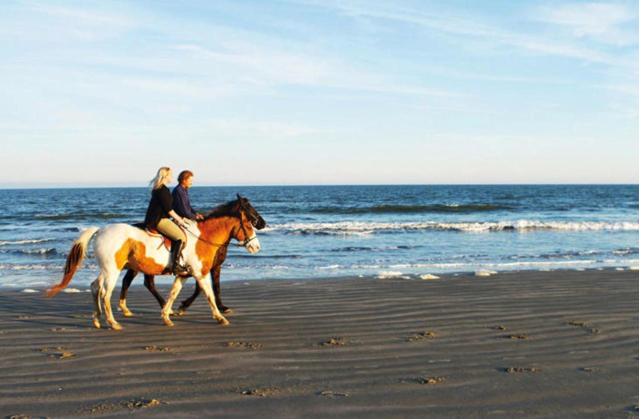 1314 Pelican Watch - Seabrook Island - Beachfront 5 Star Condo - Fido Friendly Exterior photo